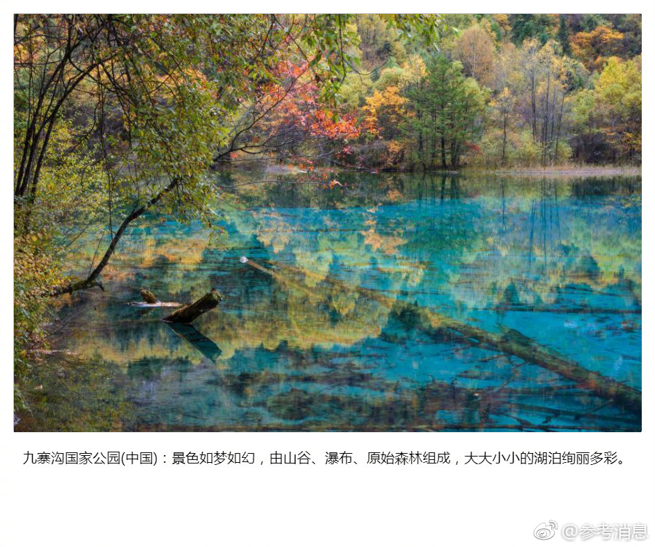 一级性生活片