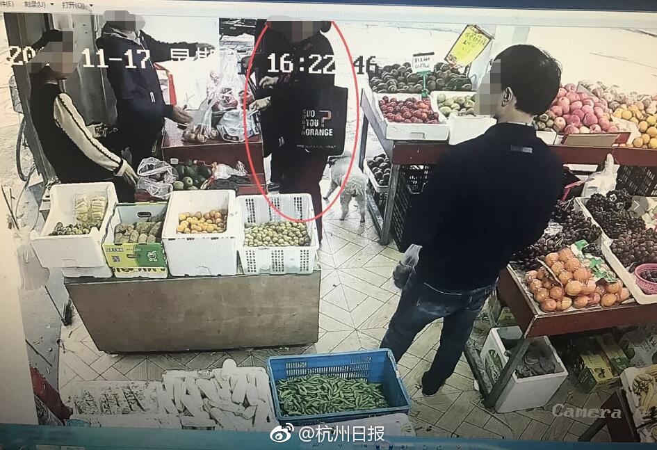 台灣鐵支路