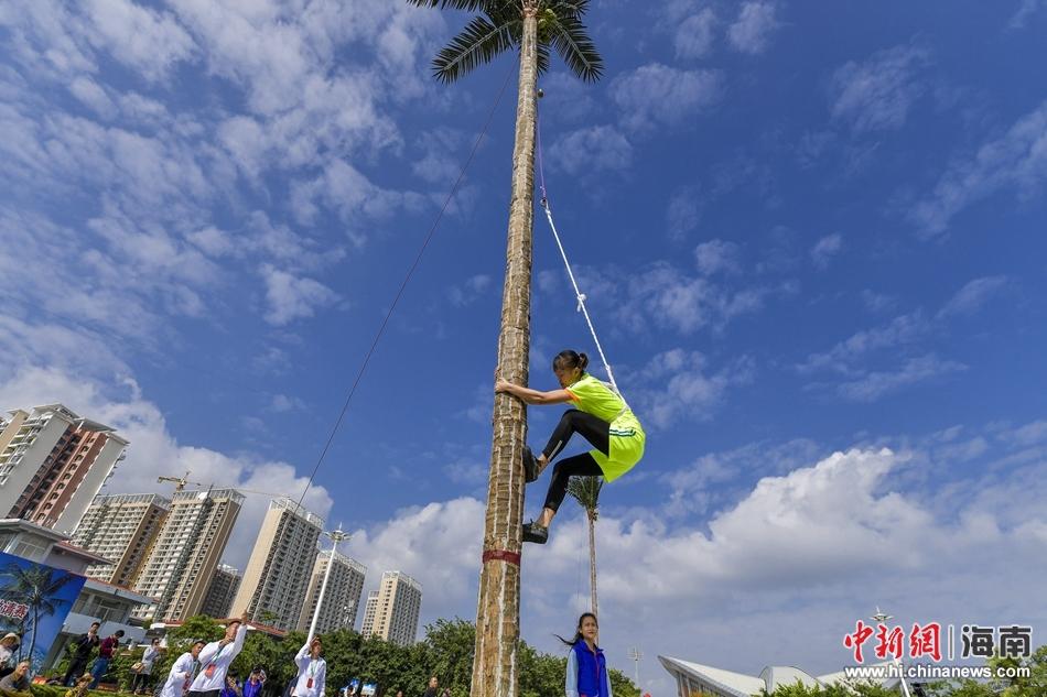 黄色网站不用下载