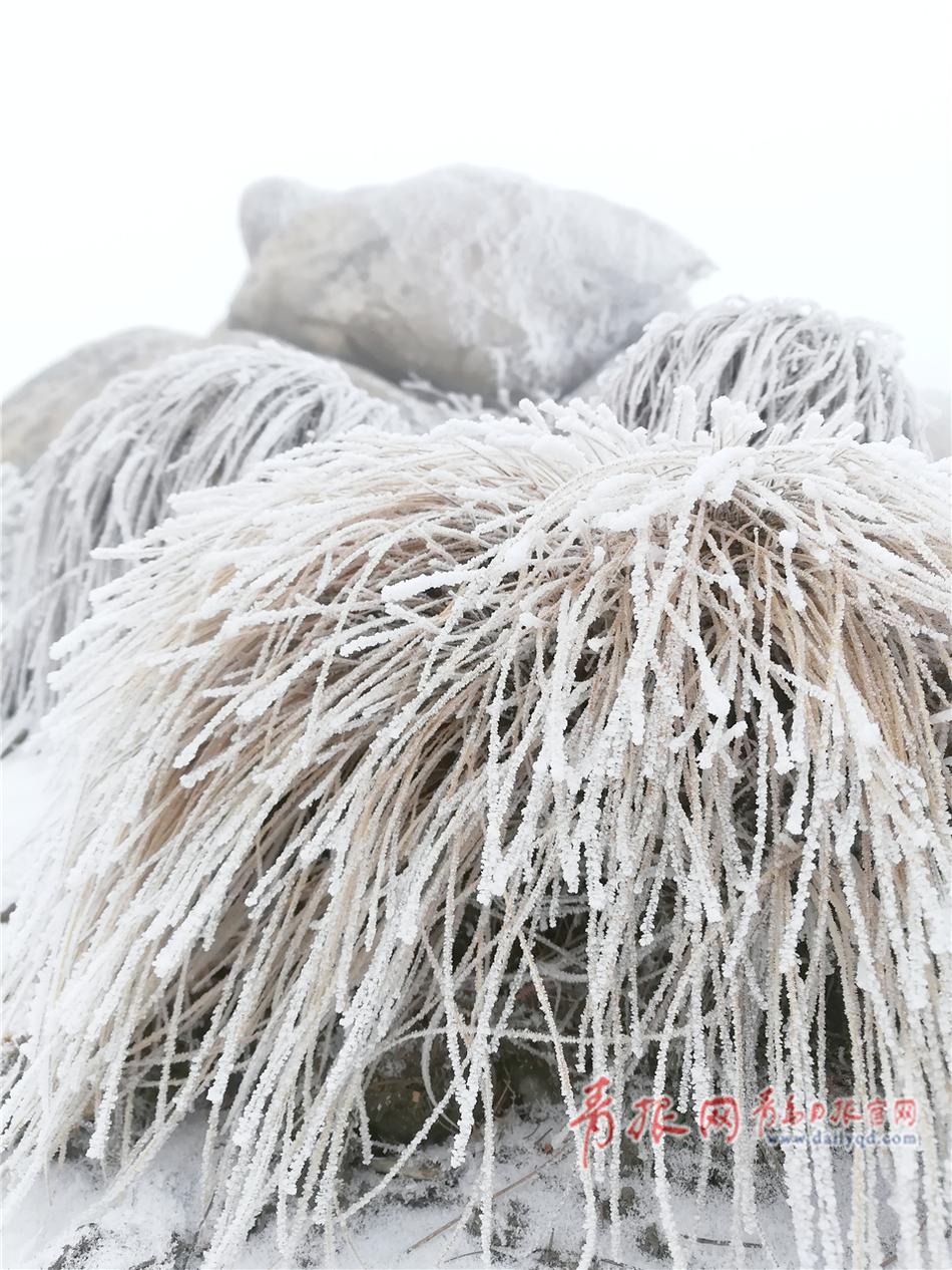 性爱精品，无码自拍
