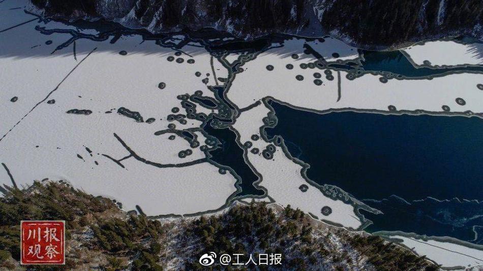 成年人看的三级片视频