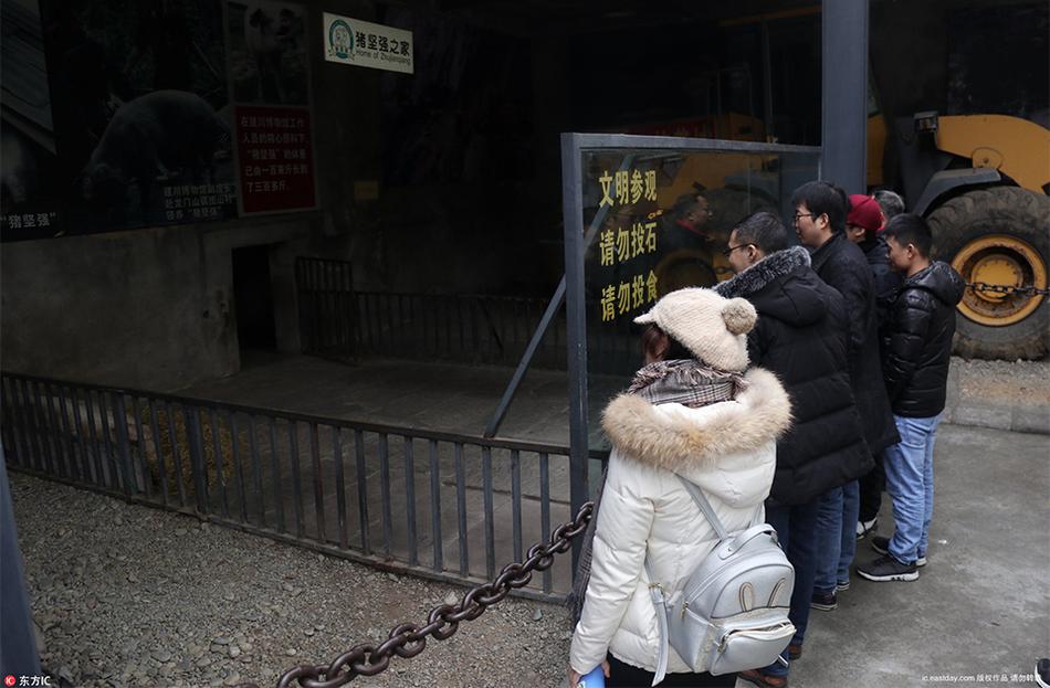 欧美成人社区