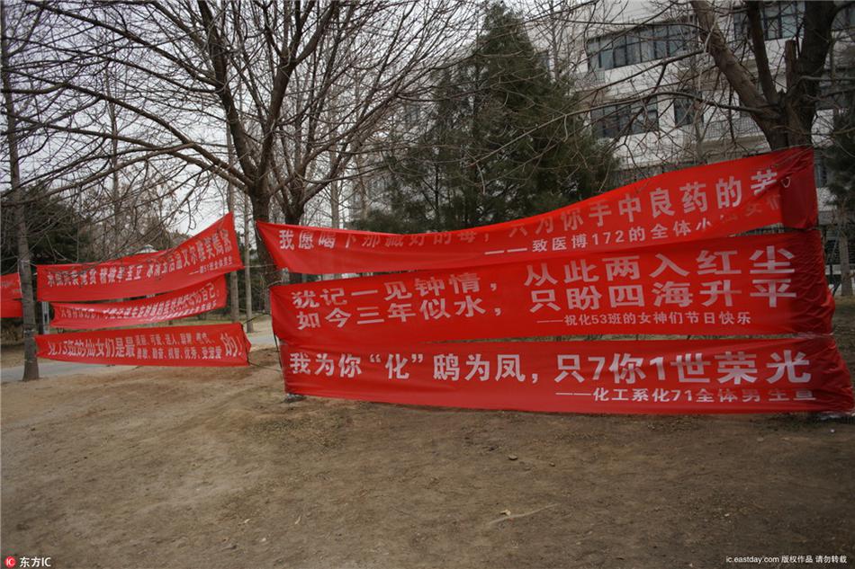 欧美混交群体交