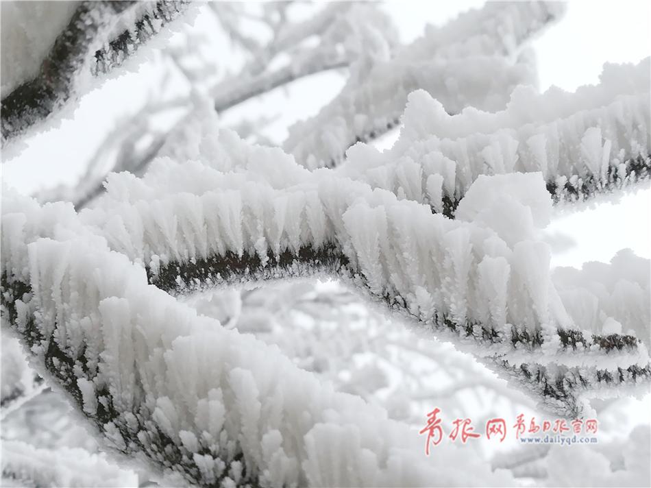 熟妇喷水在线
