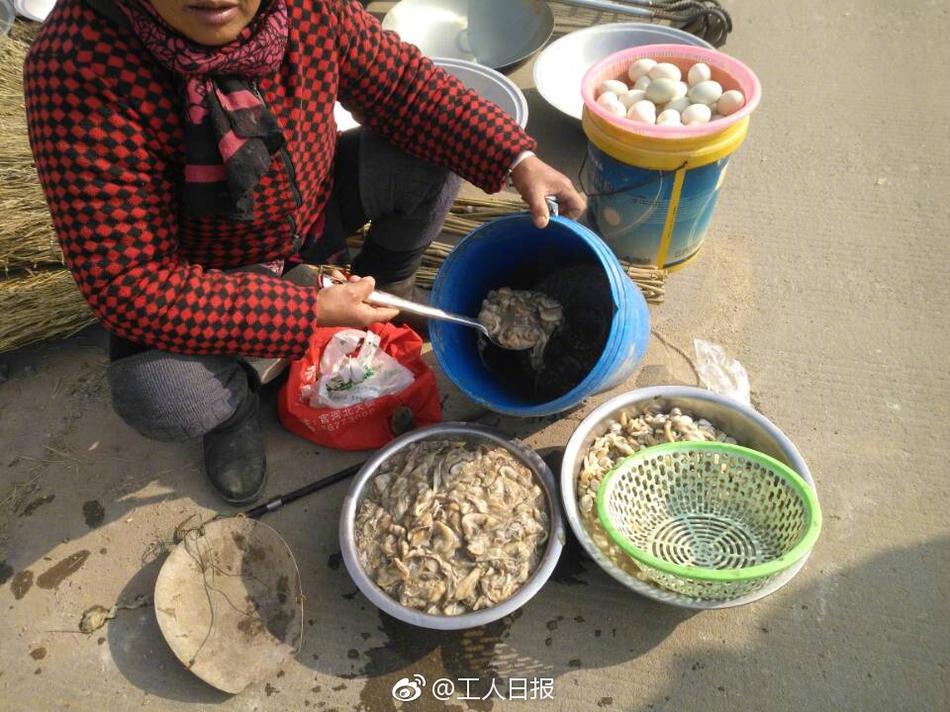 成人 电影 免费 网站
