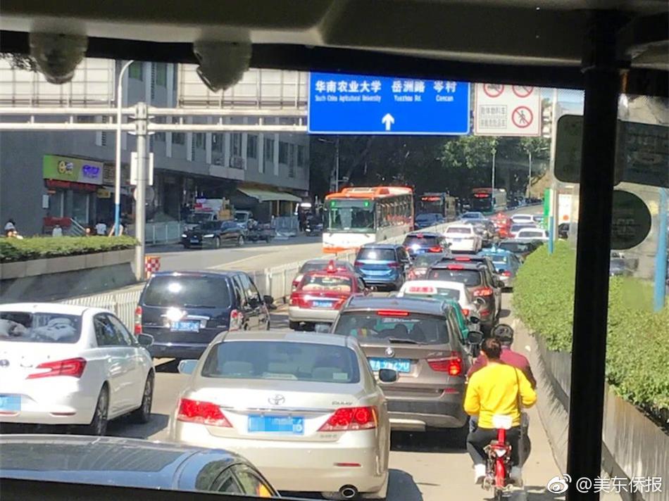 中国老太婆一级特黄大