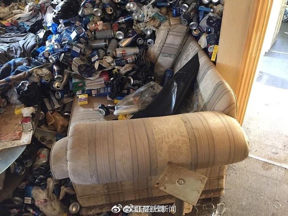 Weav 成人
