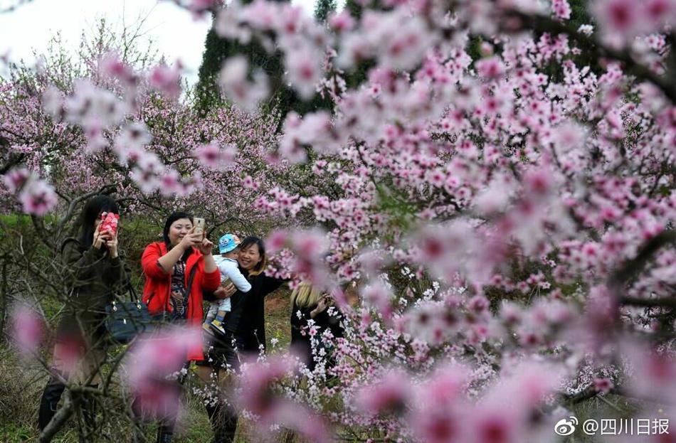 汤芳帝毛阴的生平事迹