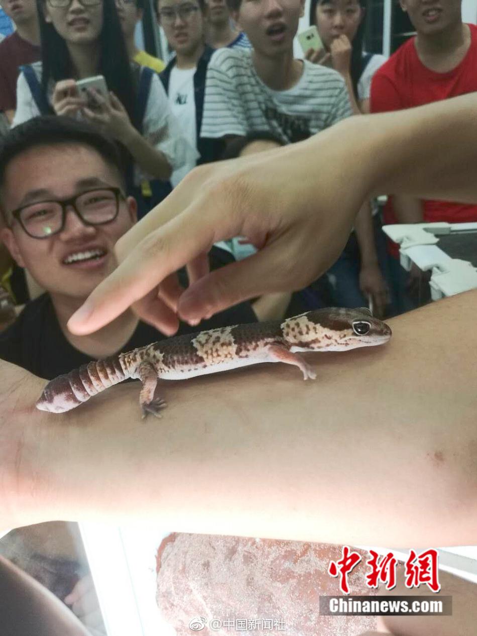 Chinese老头Gay老头乐
