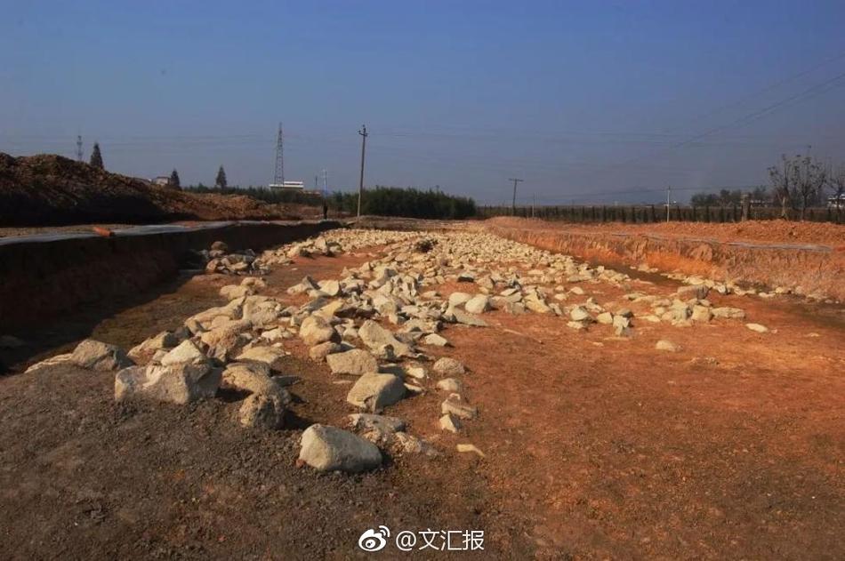 丰满的少妇XXXXX极品林志玲