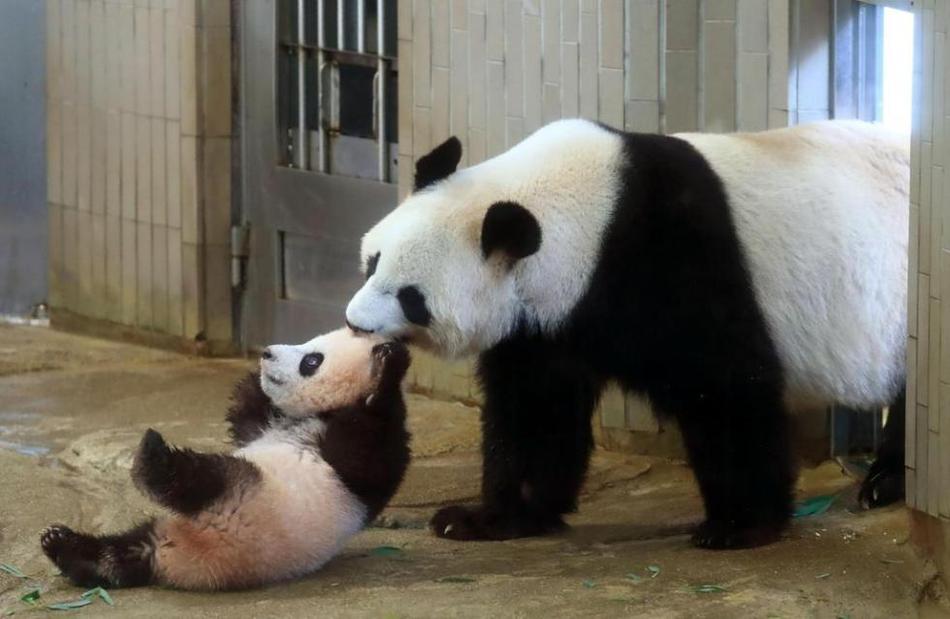 我的逼你随便操