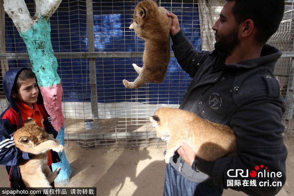 柚子猫刻晴yuzukitty致命的错误