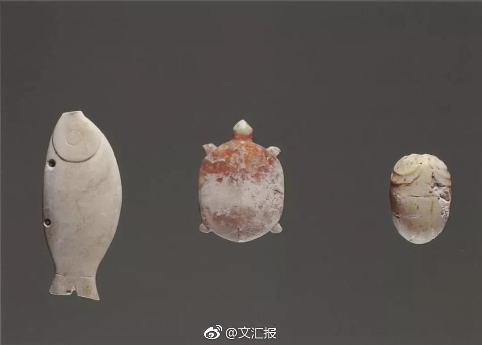 免费 成人 电影 网