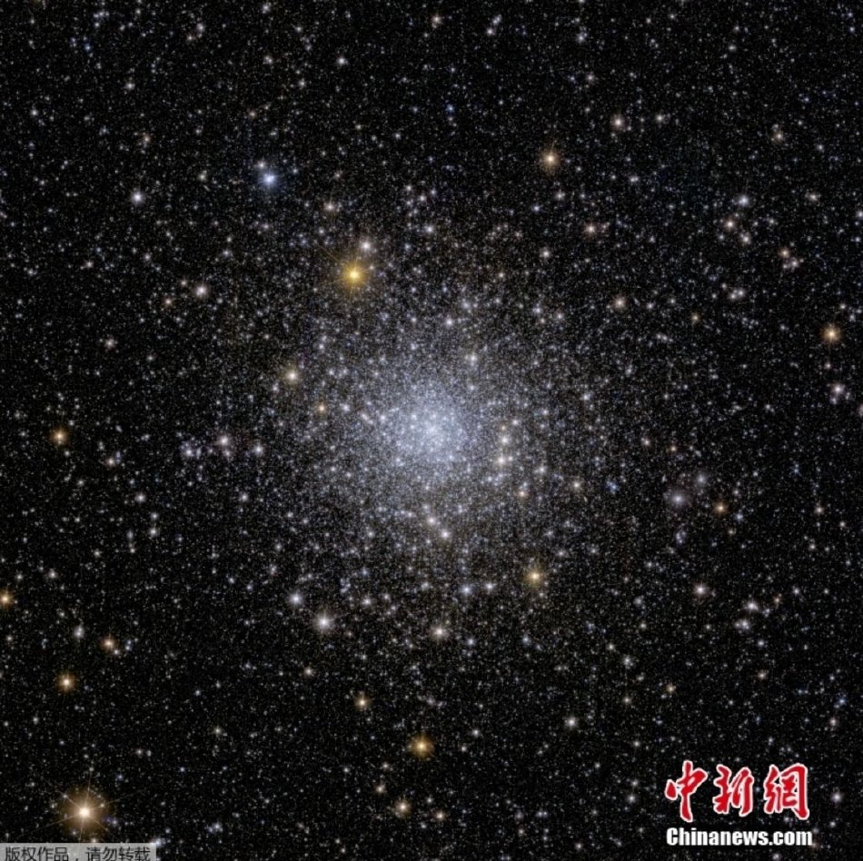 黄色 视频 在线 观看