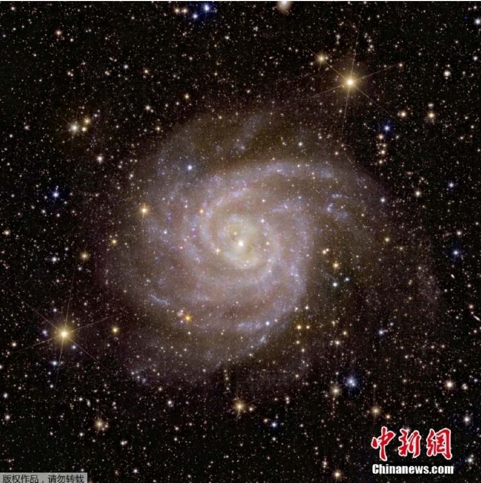 偷拍自拍