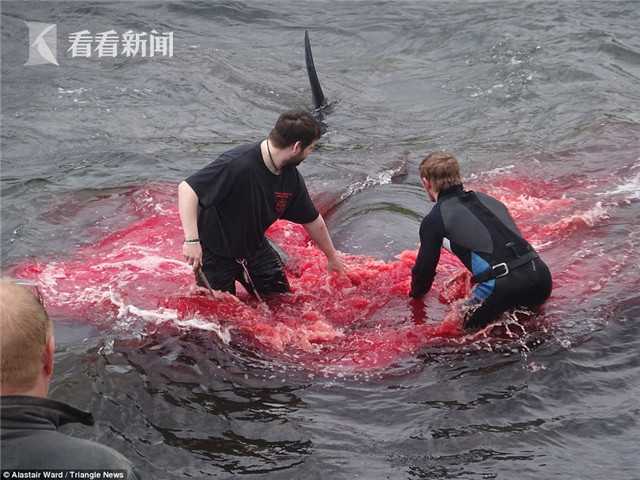 国产老年操逼