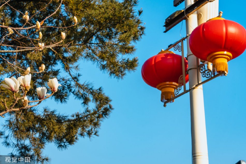 免費 觀看 成人 電影