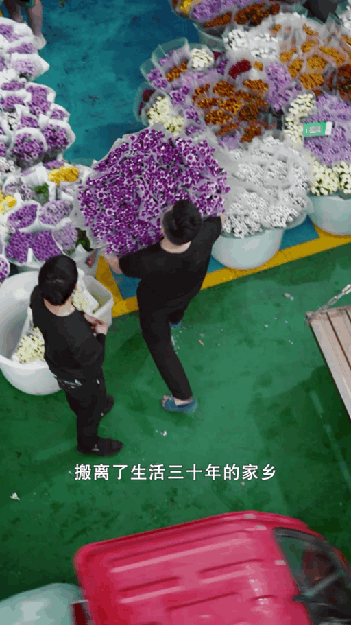熟女 在线 视频