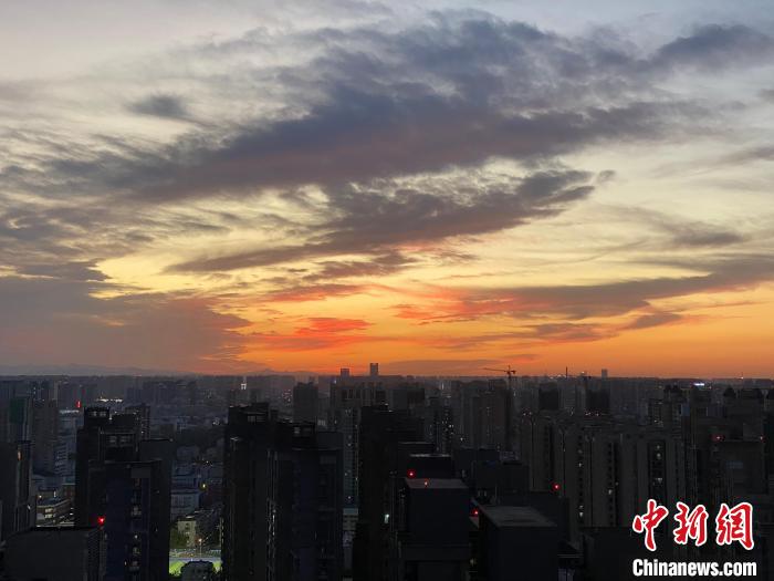 精品熟妇大屁股