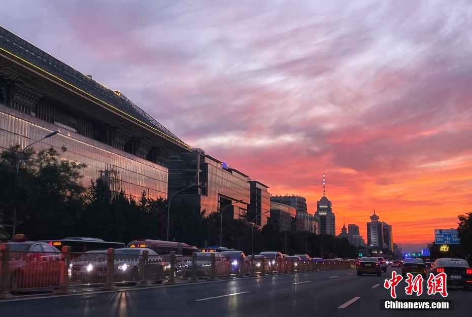 三级黄片黄色片能看的下载