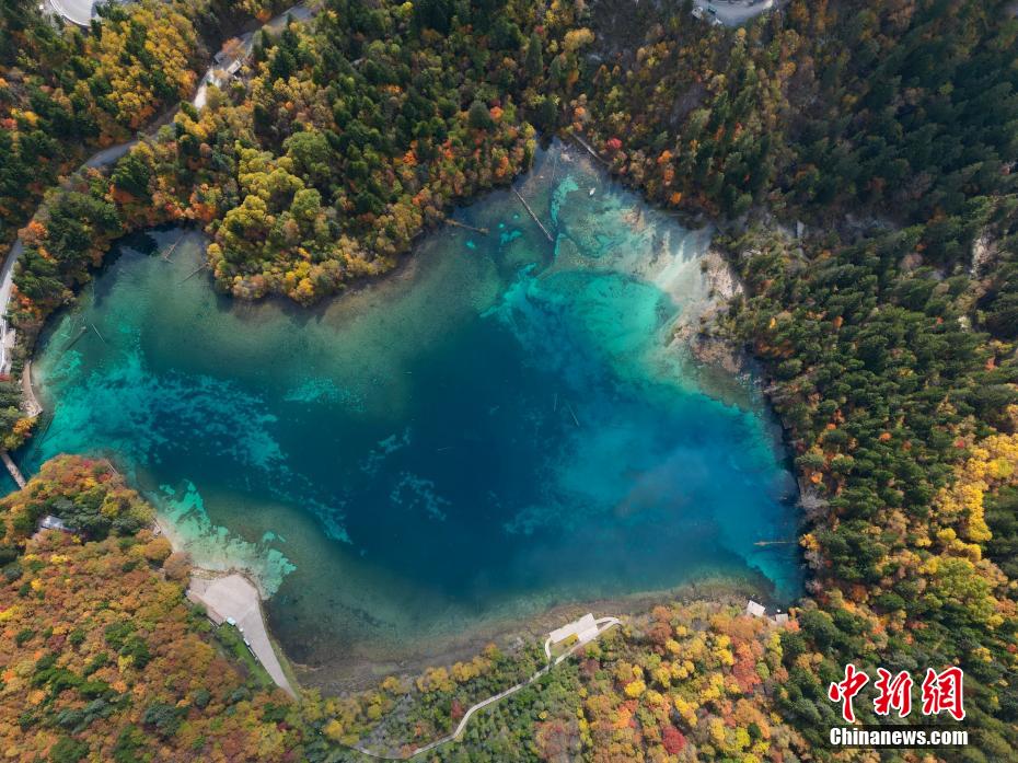 突发！外媒称俄罗斯苏-34战机坠毁