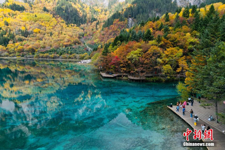 范冰冰和外国Hello么一级三级片