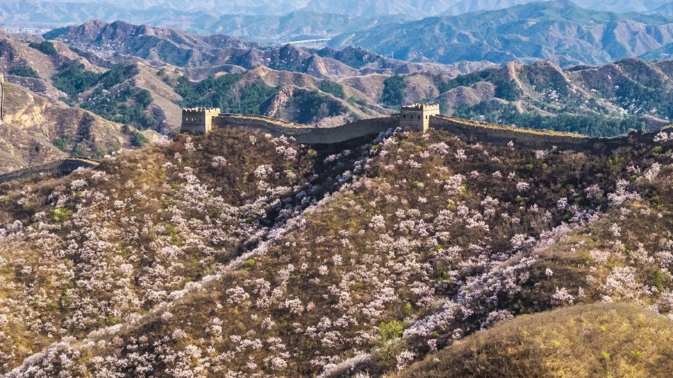 保險套破掉