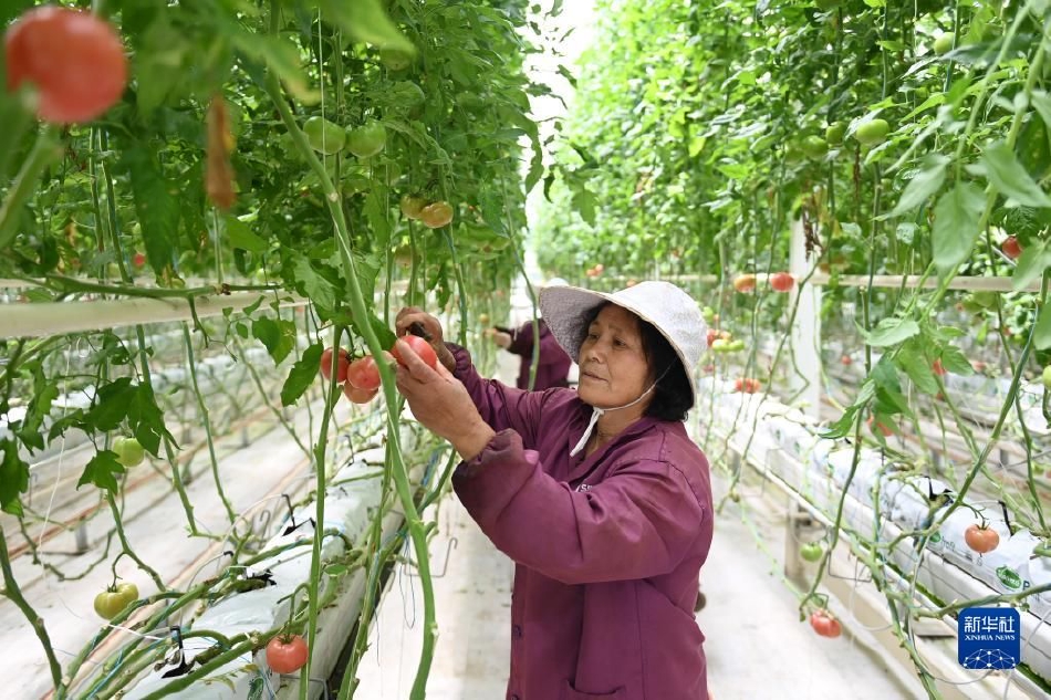 找个黄色网站看看。