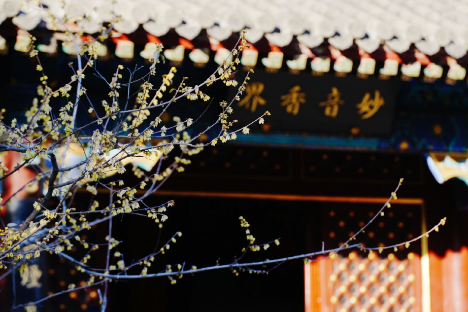 麻豆专区