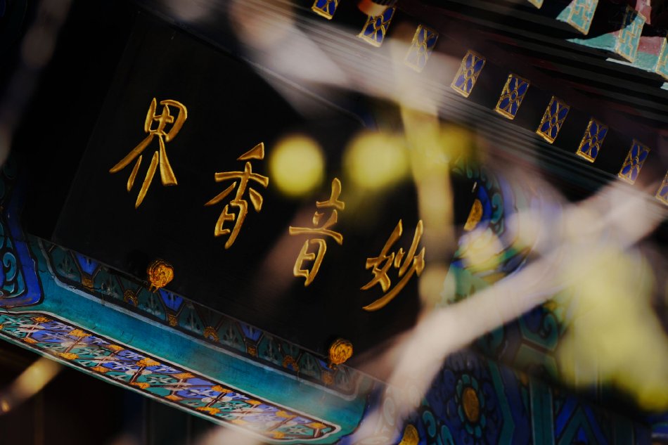 美女日批