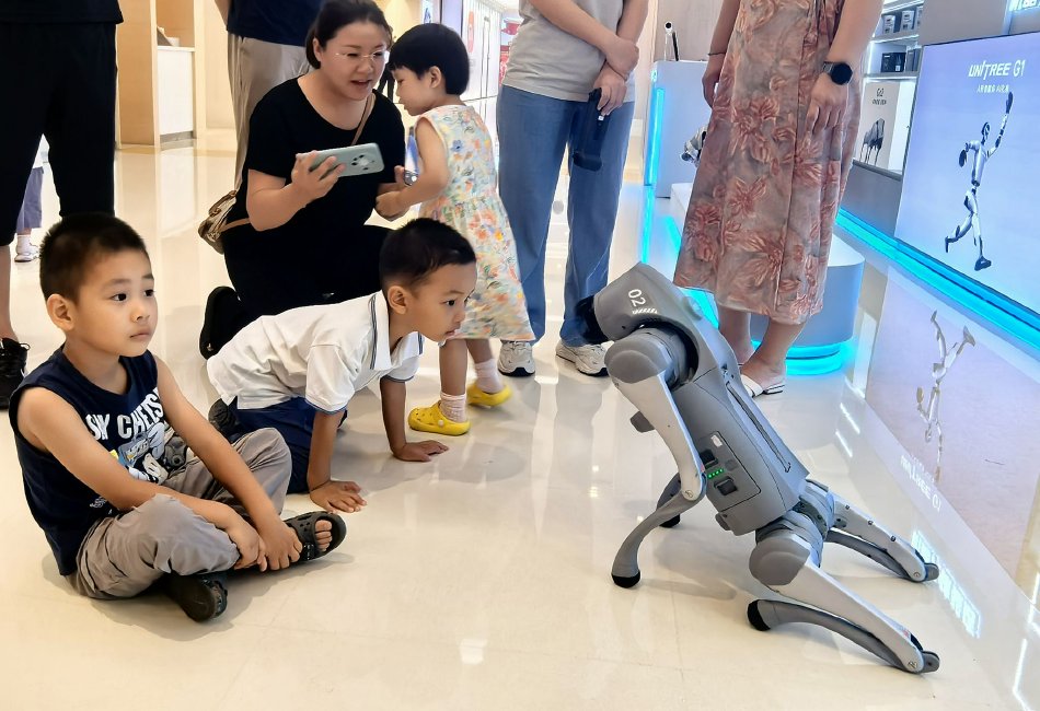 污黄网站