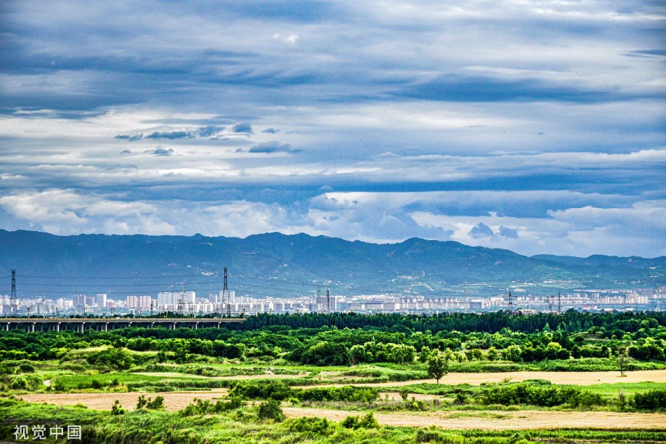 五十路