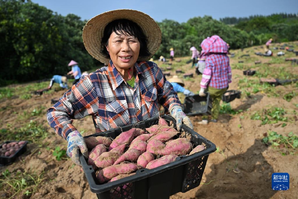 男生桶女生