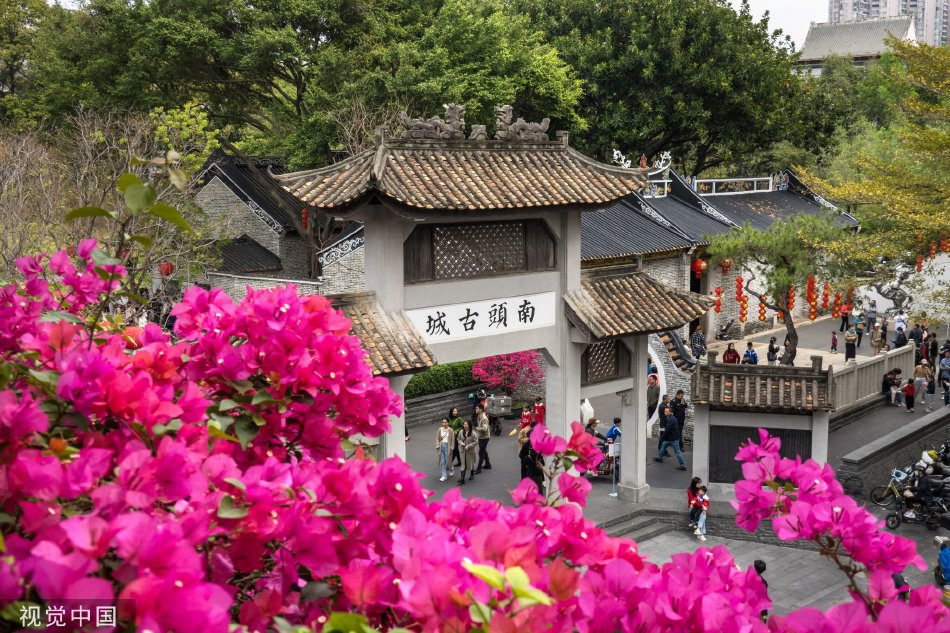 亚洲精品一区二区三区新线路