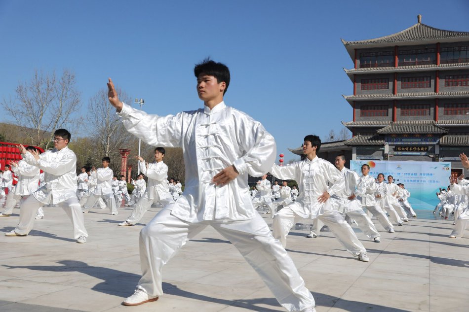 黄片免费区