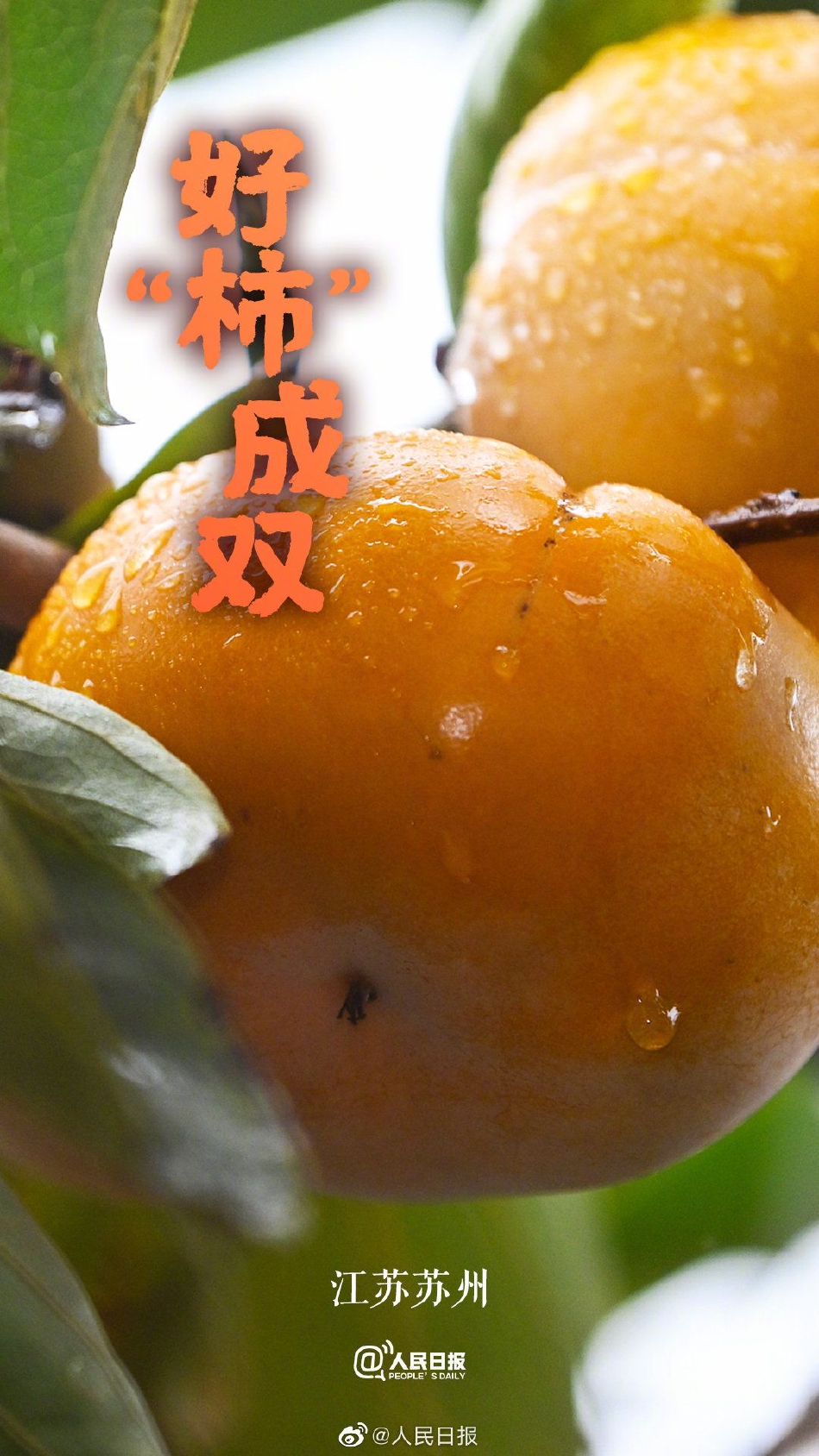 白丝校花 扒开美腿甜美电影