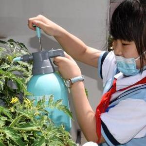 欧美性爱非礼
