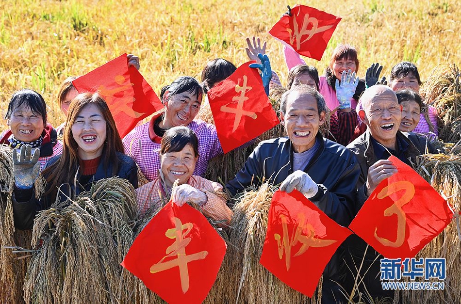 波多野结衣久久