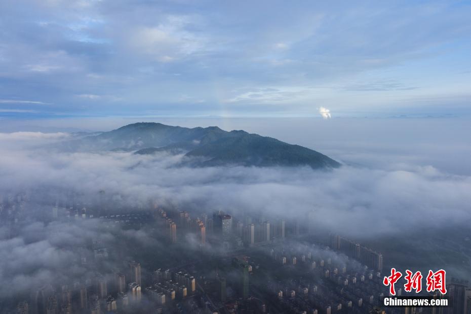 非常非常黄的黄色网站