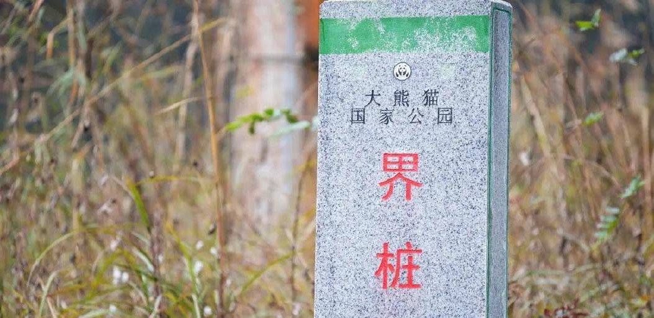 九九九视频