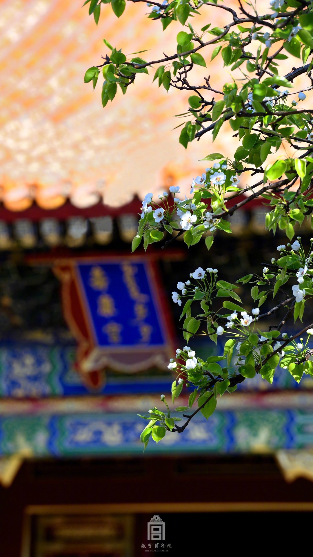 张津瑜