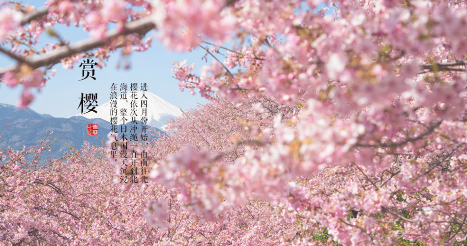 Ѫ�ȵ�Ѥ�ã�2014�ձ�����ӣ��ͼ��