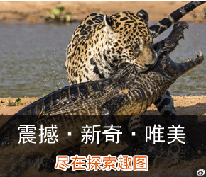 赣企将在俄罗斯建“中国城” 协议金额超1亿美元