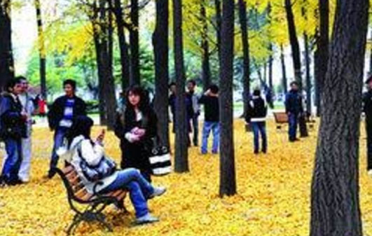 入秋后首个周末 成都天气晴好昼夜温差大