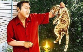 德国小城宠物猫频失踪 亚裔男子承认吃掉30多只