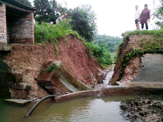 自贡大雨致一池塘护堤垮塌 3000斤鱼儿被冲走