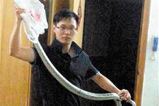 厨房窜出2米长花蛇 男子徒手抓住