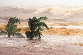 台风“凤凰”22日将登陆浙江 沿海现11级大风