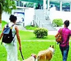 官員遛狗結(jié)怨互曝貪腐