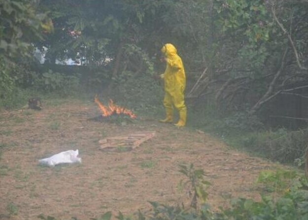 夺命马蜂群黑压压攻来 巴中两母女被蜇死